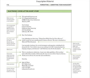 Example of a Cover letter for a short story submission