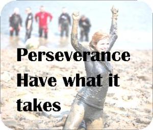 Perseverance