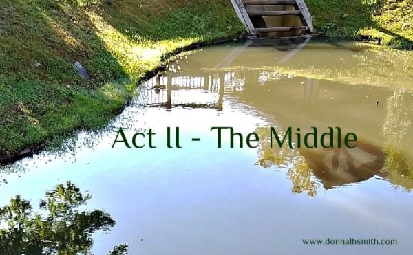 Writing Your Story from the Middle––Part V | Donna L.H. Smith